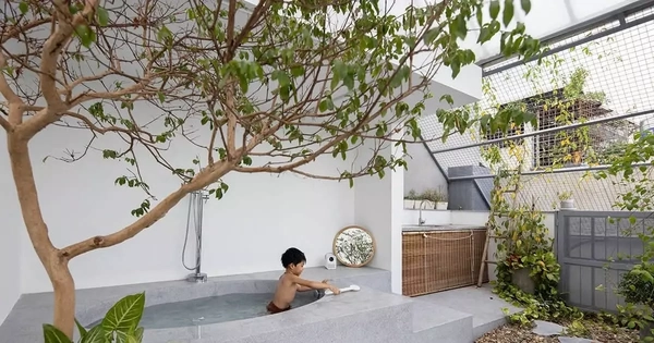 Cầu thang và sân chơi trẻ em thú vị trong nhà ống diện tích nhỏ