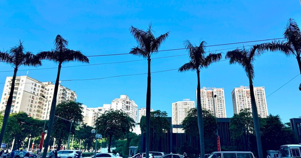 Nguồn cung tăng, vì sao giá bất động sản vẫn chưa hạ nhiệt?