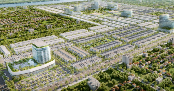 Nợ gần 635 tỷ đồng tiền thuế, ông lớn nào đứng sau Công ty Ngân Thuận?