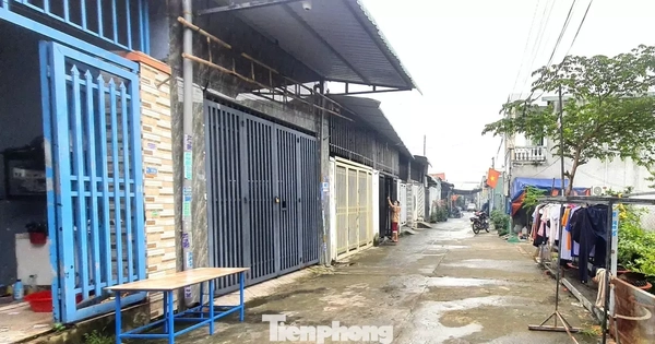 Chủ đất bị người khác ‘xây nhầm’ gần 50 căn nhà cầu cứu Bí thư Thành ủy TPHCM