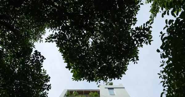 Ngôi nhà sum vầy ba thế hệ giữa ánh sáng và không gian mở