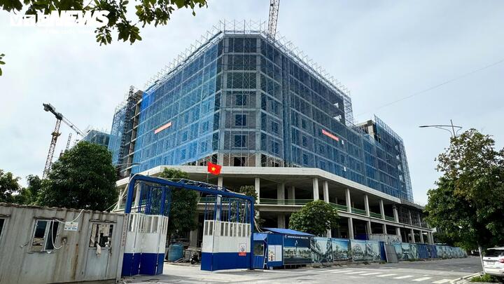 Nhà ở xã hội Đông Anh: Chủ đầu tư dựng nhà bạt cho dân xếp hàng nộp hồ sơ - Ảnh 6