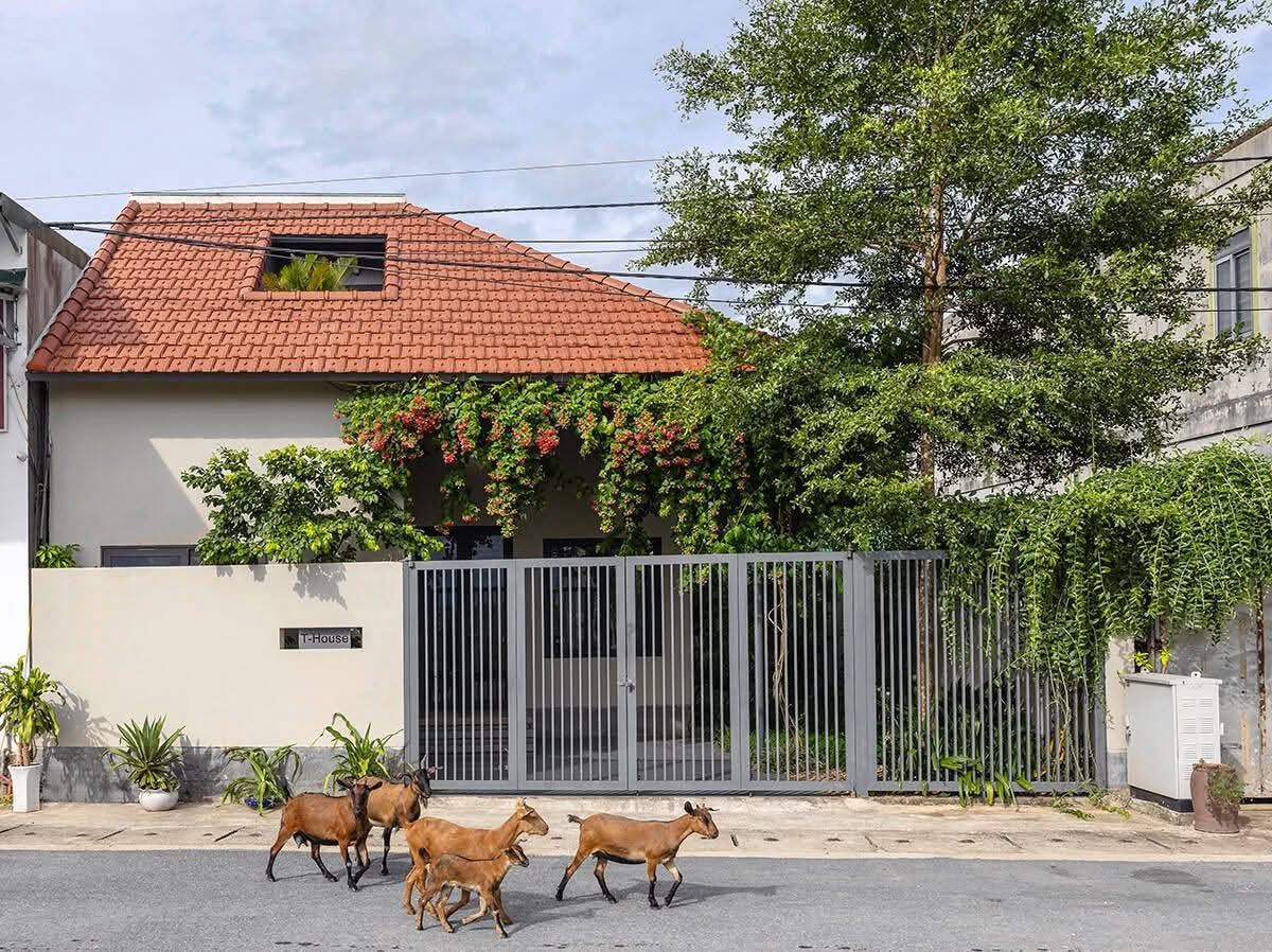 Nhà '1 gian' 130m2 tái hiện nếp sống làng quê - Ảnh 1