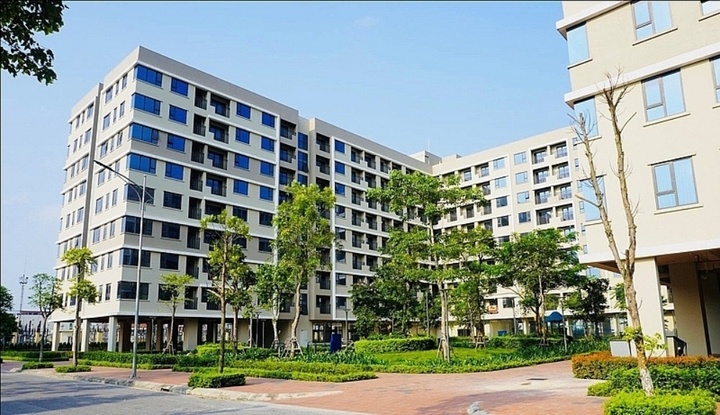 Dành 20% quỹ đất làm nhà ở xã hội: Có nên thay thế bằng nộp tiền? - Ảnh 1