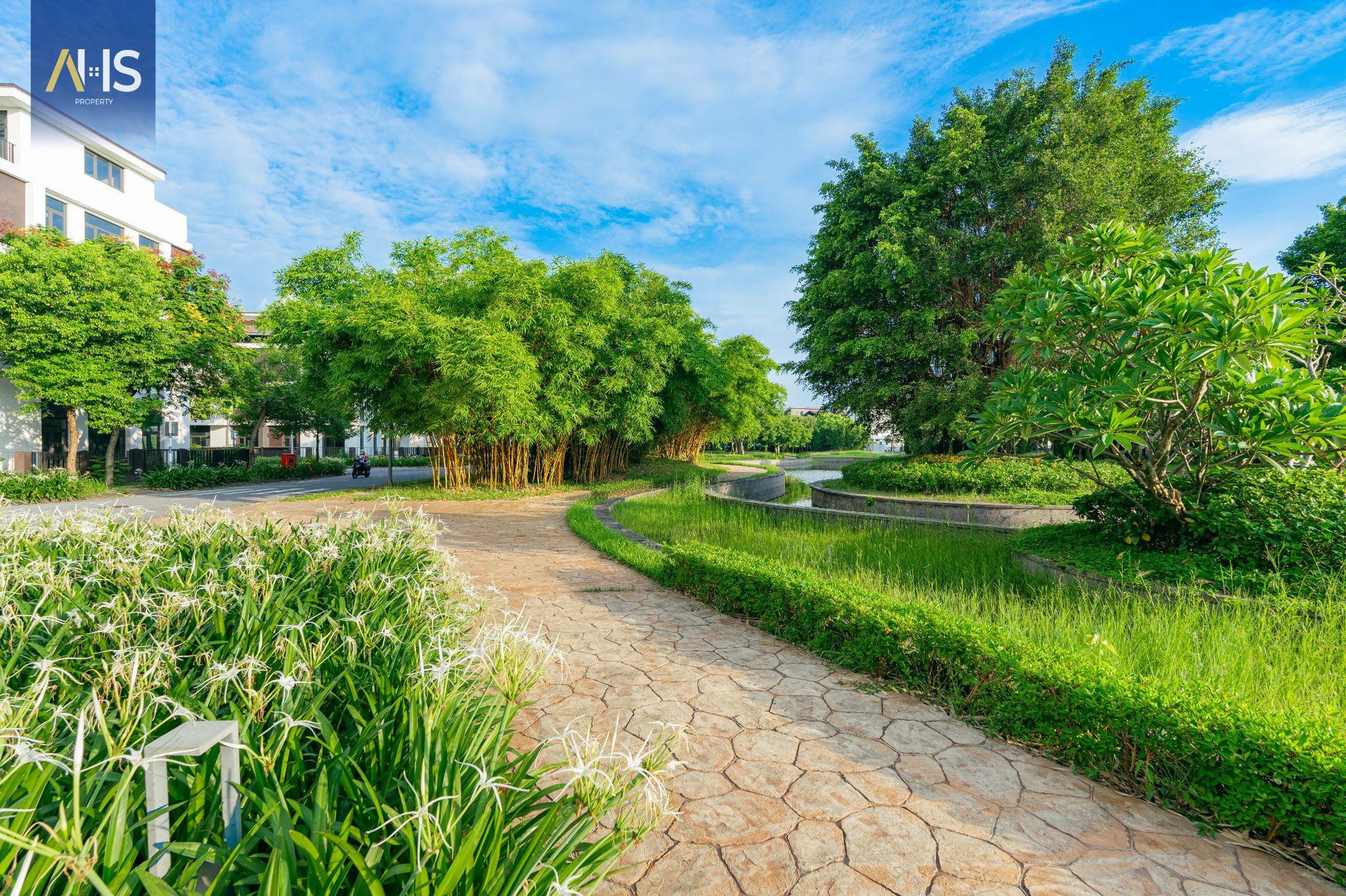 Dễ dàng sở hữu nhà thấp tầng biệt lập với ưu đãi vàng từ Hado Charm Villas - Ảnh 2