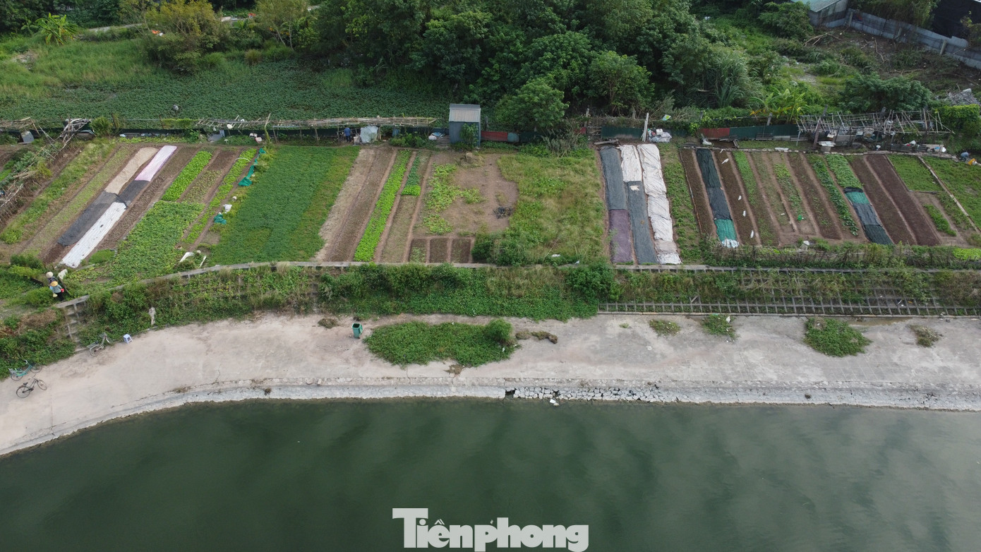 Lều lán, nhà tôn trái phép hóa vườn hoa tại khu chung cư đông đúc bậc nhất Thủ đô - Ảnh 12