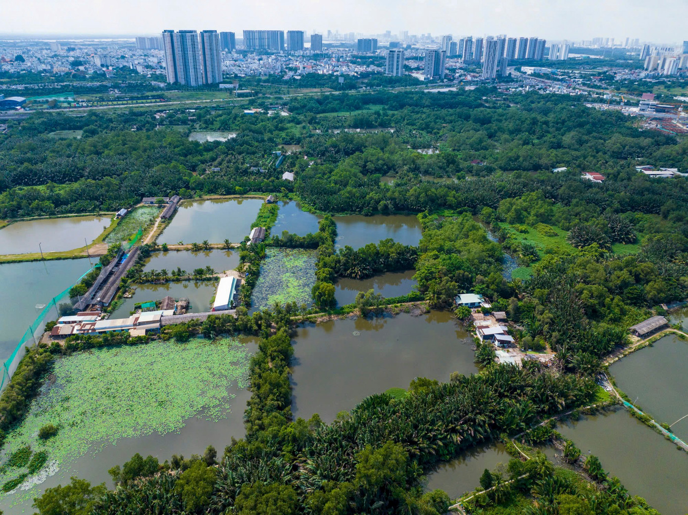 Toàn cảnh khu đất sắp xây sân vận động 50.000 chỗ sau hơn 30 năm 'bất động' - Ảnh 8