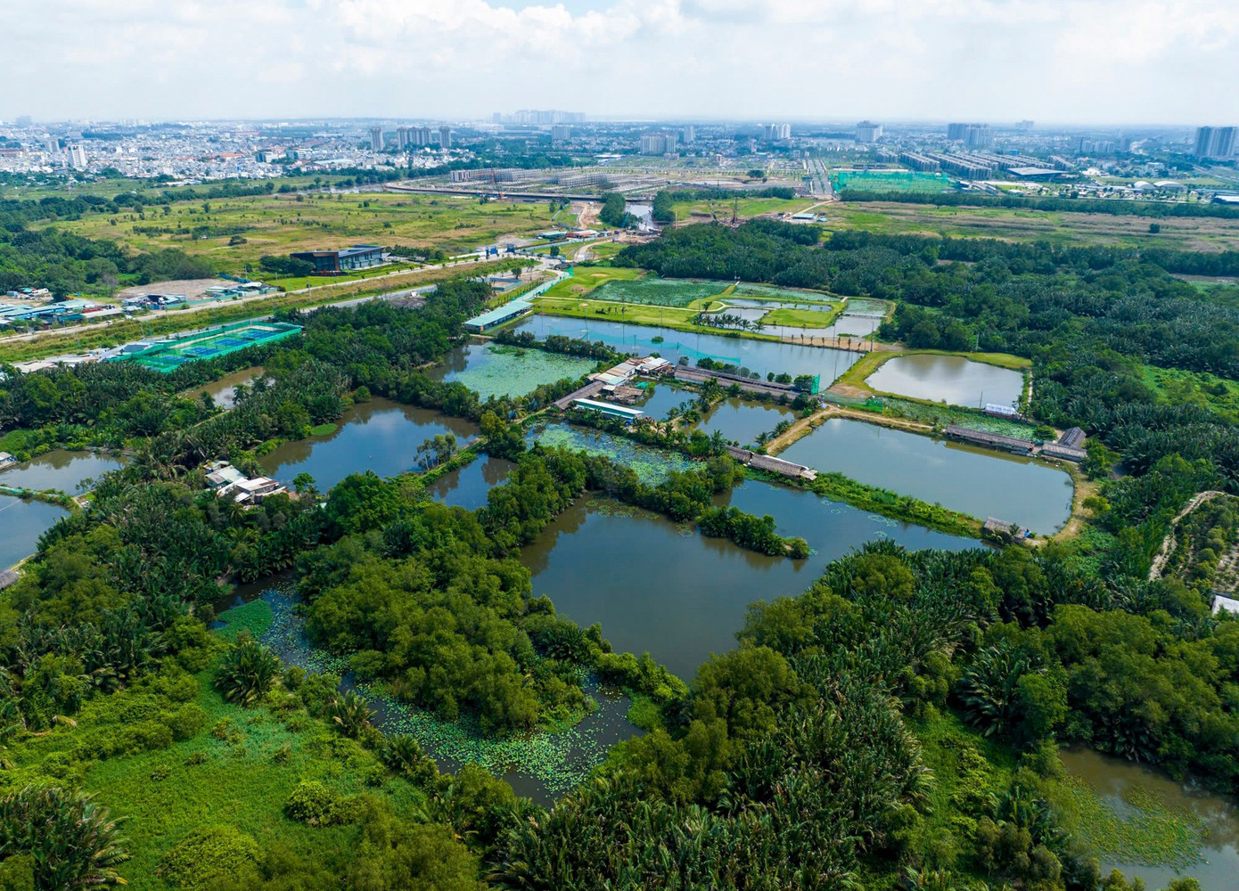 Toàn cảnh khu đất sắp xây sân vận động 50.000 chỗ sau hơn 30 năm 'bất động' - Ảnh 3