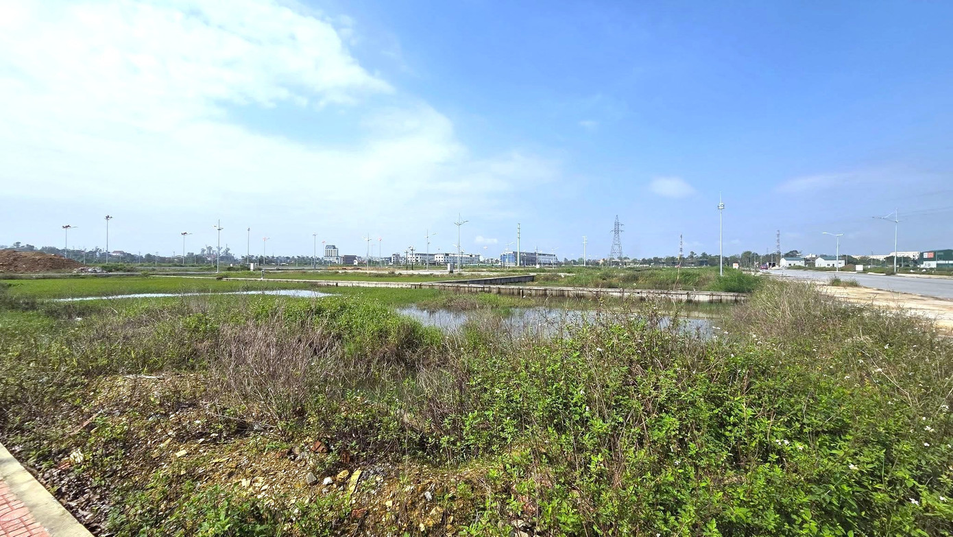 Choáng với giá hơn 12 tỷ đồng một lô đất cấp xã ở Nghệ An - Ảnh 1