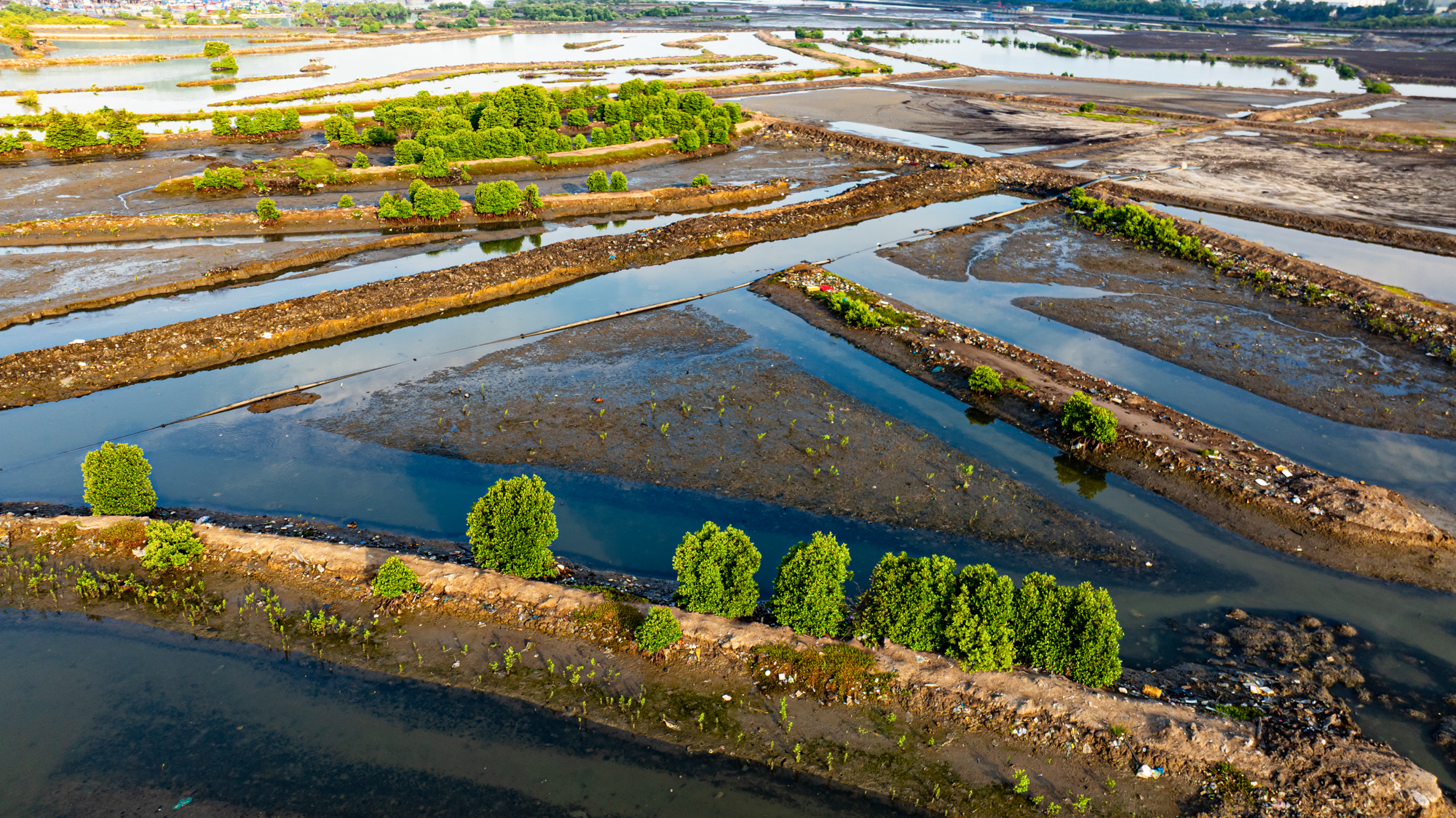 Toàn cảnh khu đất hiếm hoi rộng đến 110 ha còn sót lại ở trung tâm Vũng Tàu đang được Sun Group nhắm đến - Ảnh 8
