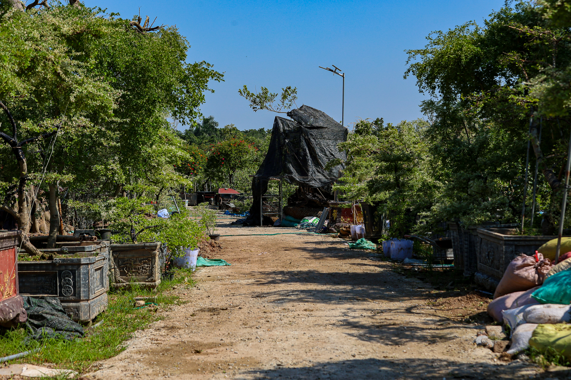 Toàn cảnh khu đất gần các đại dự án của Vinhomes, Ecopark, Sunshine… sắp trở thành “thành phố đại học” của 30.000 sinh viên Bách Khoa - Ảnh 8