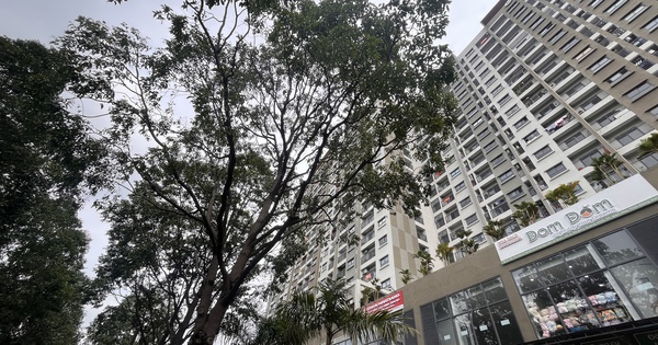 Danh sách 8 dự án nhà ở xã hội tại Đồng Nai được vay gói tín dụng 120.000 tỉ đồng