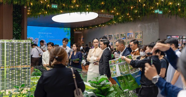 Dòng tiền đầu tư rẽ sóng Nam tiến: Nhà giàu miền Bắc chuyển hướng “đánh bắt xa bờ” ở thị trường sôi động bậc nhất phía Nam