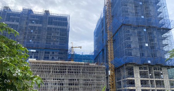 TP HCM: 54 tổ chức được thí điểm nhận đất nông nghiệp làm nhà ở thương mại