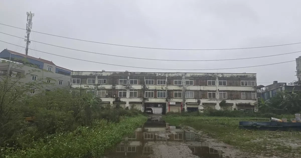 Hà Nội: Khu chợ 'đắp chiếu' 11 năm được đề xuất chuyển đổi thành nhà ở xã hội