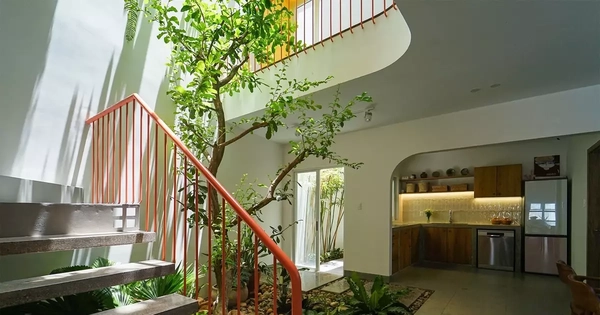 Nhà phố 2,5 tầng tràn ngập ánh sáng tự nhiên