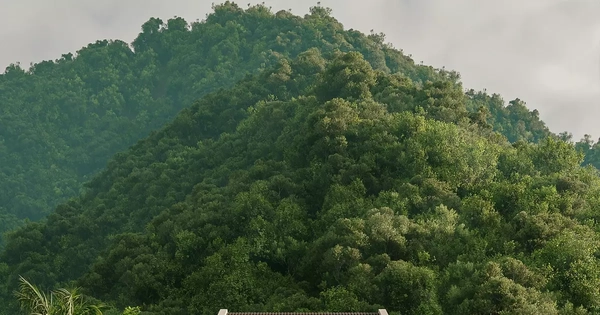 Ngôi nhà thiết kế đậm phong cách truyền thống miền Bắc