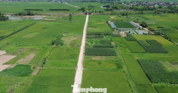 Hà Nội: Cử tri kiến nghị 'nới' quy định về tách thửa