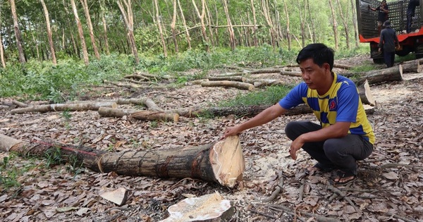 Hơn 300 tỉ đồng giải phóng mặt bằng làm cao tốc TP HCM - Thủ Dầu Một - Chơn Thành qua Đồng Nai