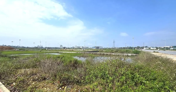 Choáng với giá hơn 12 tỷ đồng một lô đất cấp xã ở Nghệ An