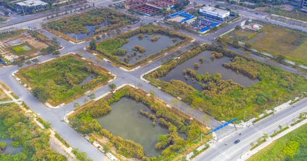 TP.HCM lên kế hoạch đấu giá 7 lô đất Khu đô thị mới Thủ Thiêm