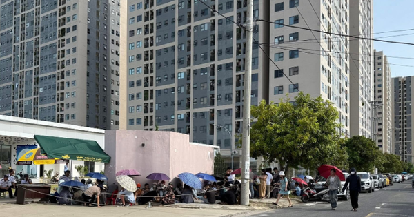 Đà Nẵng xử lý tình trạng 'cò mồi' mua bán nhà ở xã hội