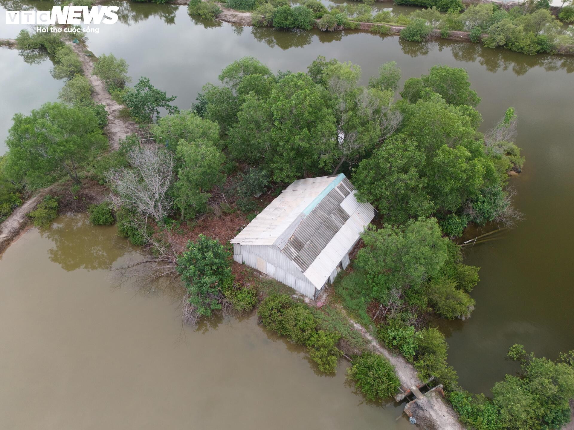 Toàn cảnh hòn đảo rộng gần 1.400 ha được đề xuất làm khu đô thị ở TP.HCM - Ảnh 10