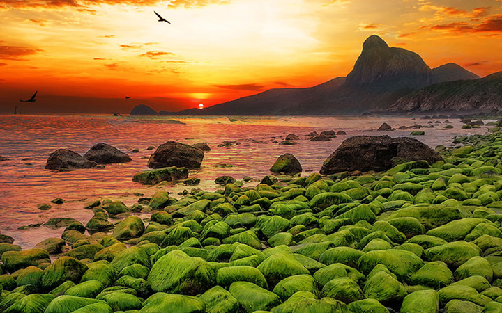 Côn Đảo hướng đến đô thị biển sinh thái, di sản và du lịch đẳng cấp quốc tế - Ảnh 3