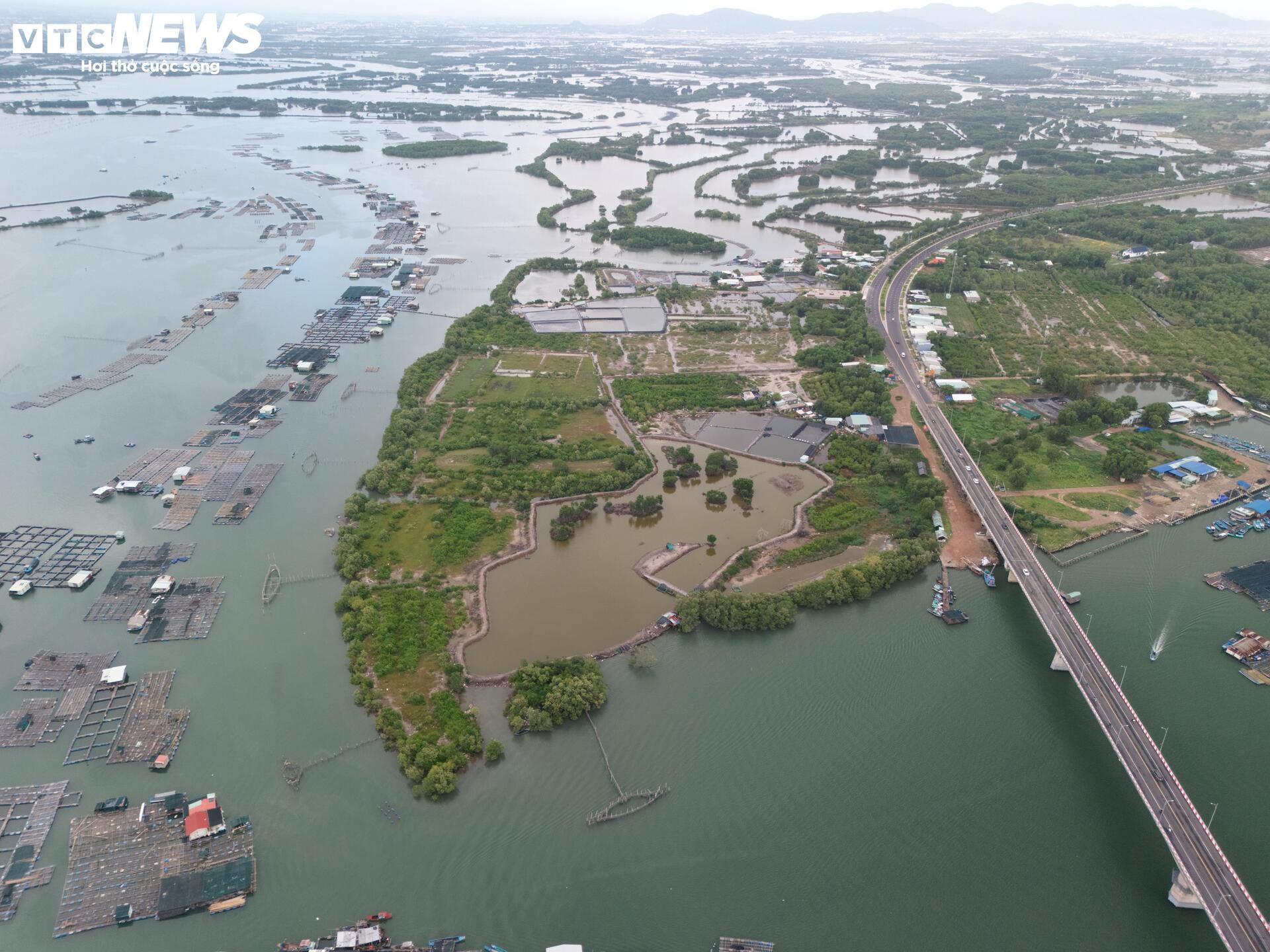 Toàn cảnh hòn đảo rộng gần 1.400 ha được đề xuất làm khu đô thị ở TP.HCM - Ảnh 12