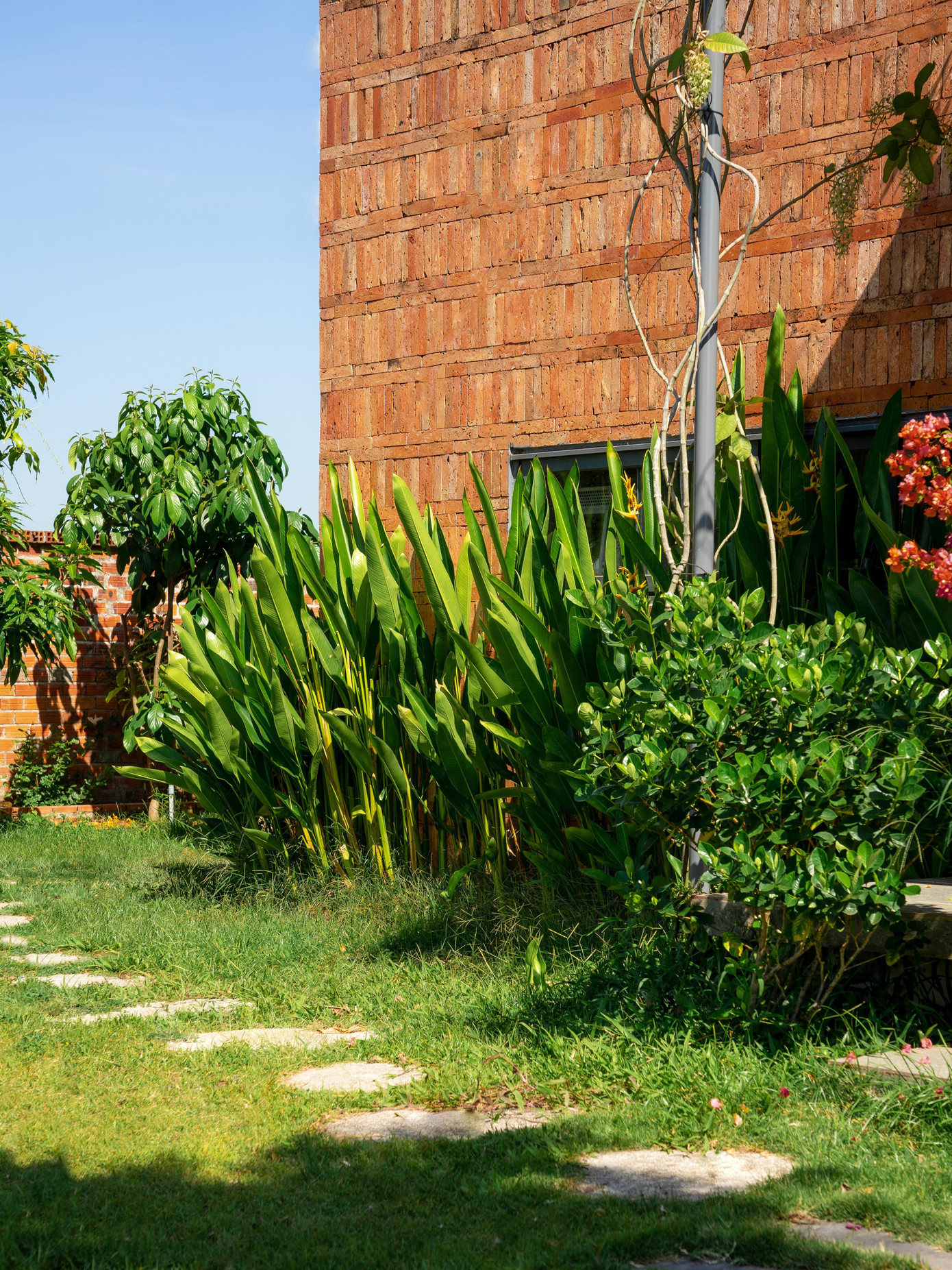 Nhà mái dốc 160m2 giữa cánh đồng lúa đẹp như tranh vẽ - Ảnh 6