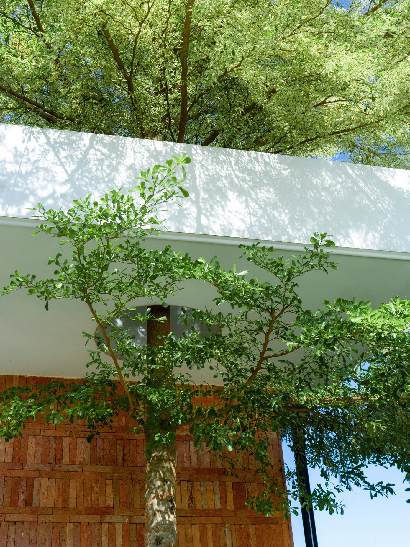 Nhà mái dốc 160m2 giữa cánh đồng lúa đẹp như tranh vẽ - Ảnh 10