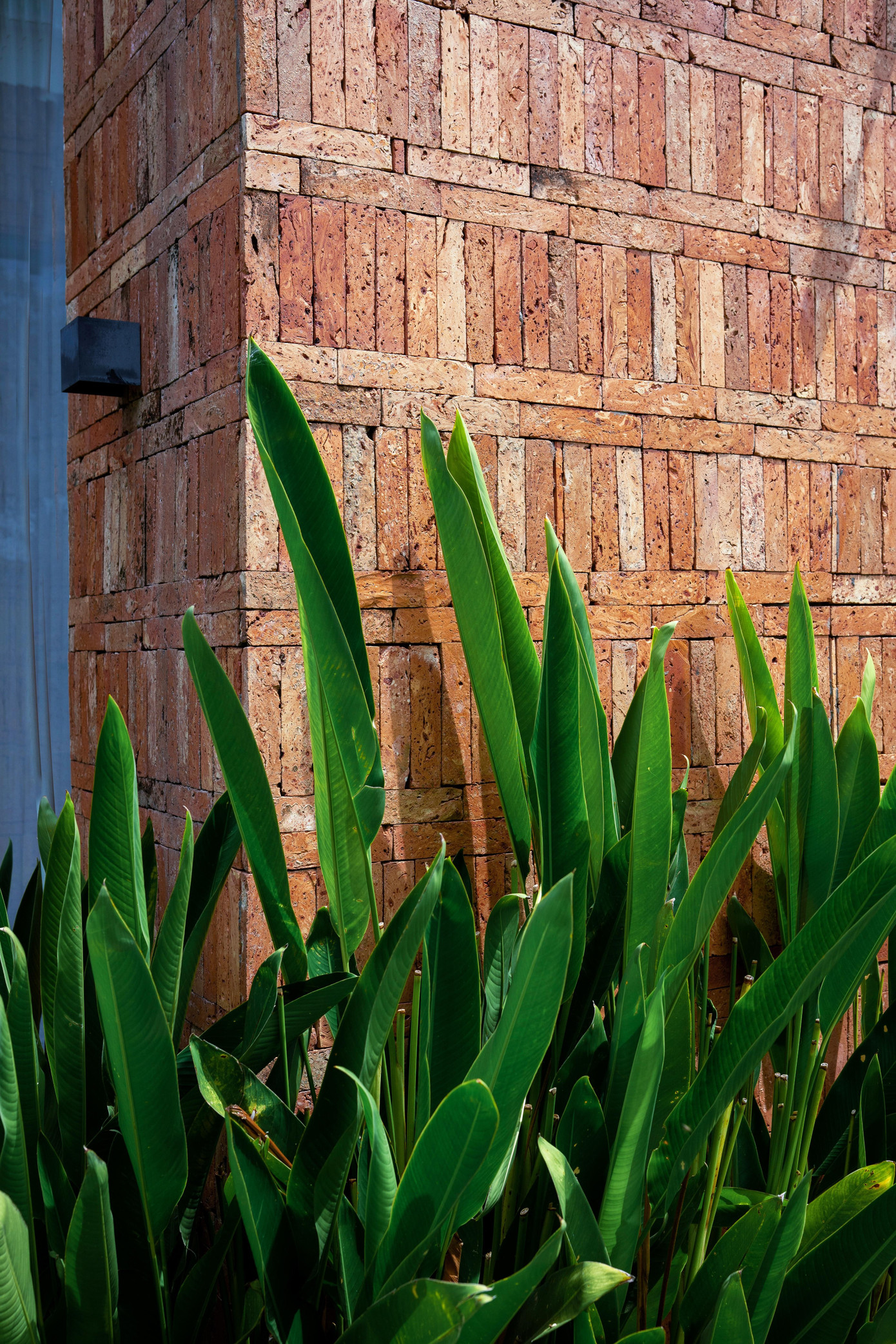 Nhà mái dốc 160m2 giữa cánh đồng lúa đẹp như tranh vẽ - Ảnh 11