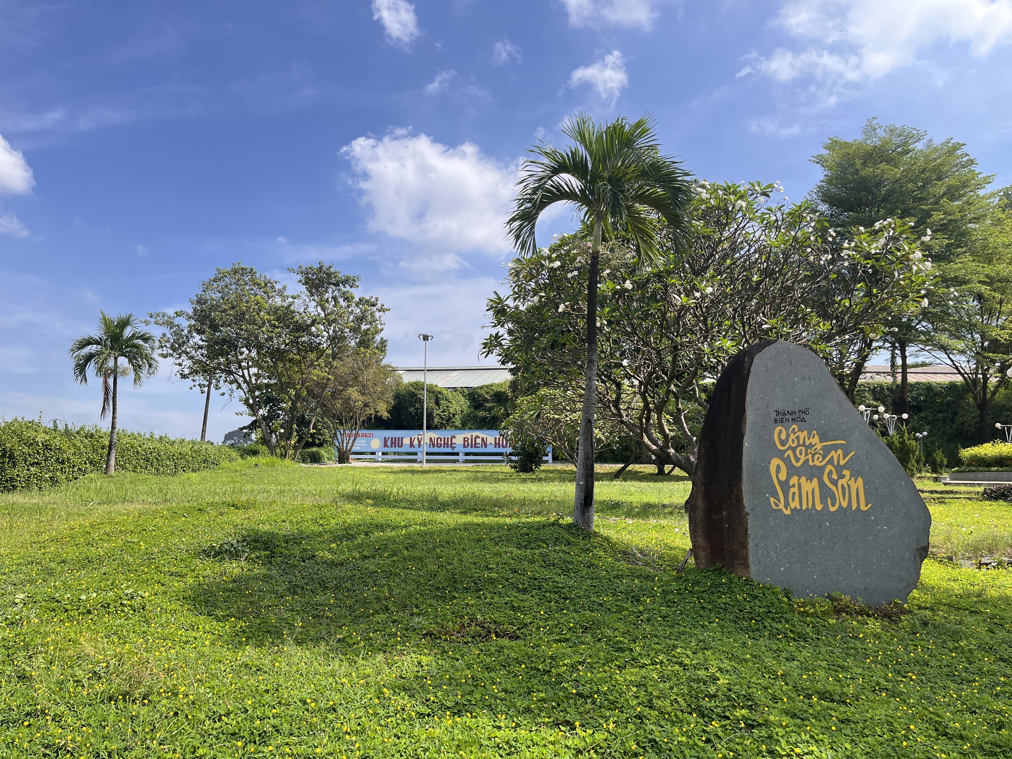 Hình ảnh khu đất hơn 50 ha cặp sông Đồng Nai sắp đấu giá - Ảnh 4