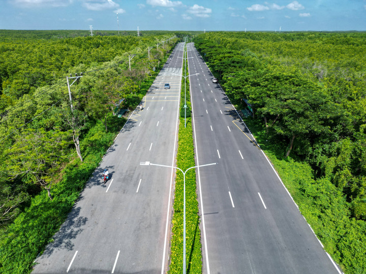 Bảng giá đất TP.HCM mới: Cao nhất hơn 687 triệu đồng/m², tăng mạnh ở Bình Dương - Ảnh 2