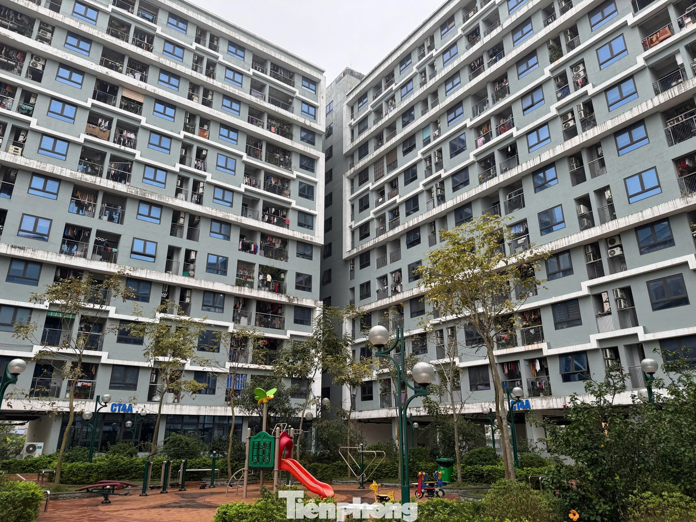 Xử phạt trục lợi nhà xã hội: Bao nhiêu mới đủ sức răn đe? - Ảnh 1