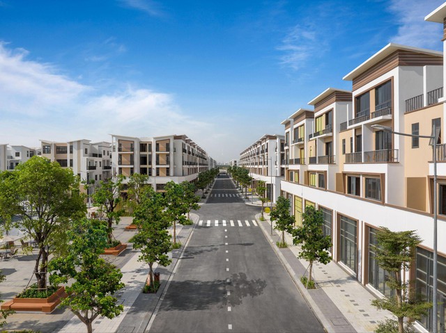 T&T Group và bước tiến mạnh mẽ tại thị trường bất động sản phía Nam - Ảnh 2