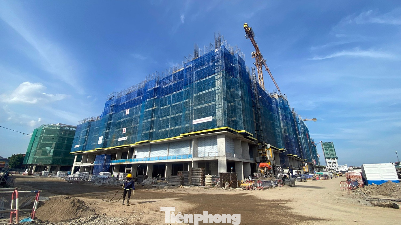 Phát hiện loạt hồ sơ mua NƠXH không đúng đối tượng - Ảnh 2