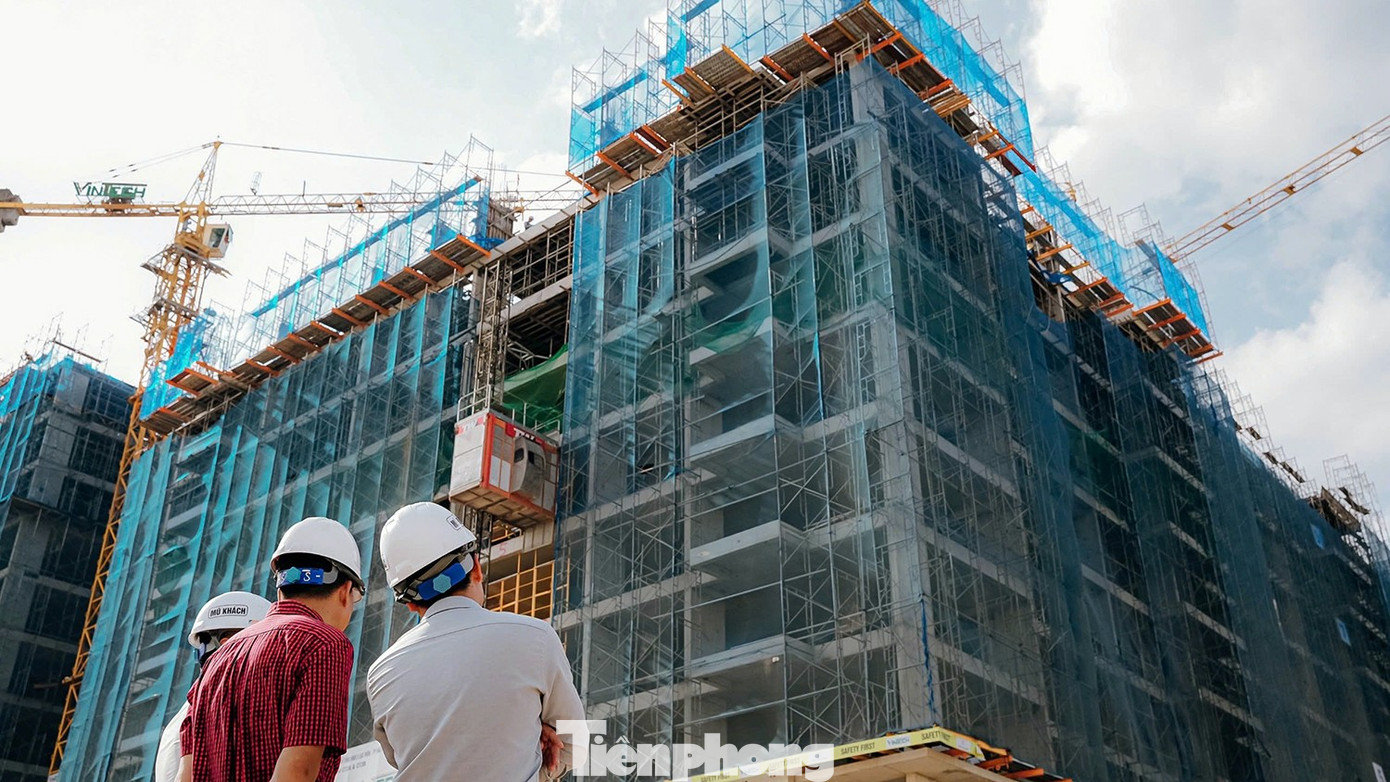 Phát hiện loạt hồ sơ mua NƠXH không đúng đối tượng - Ảnh 3