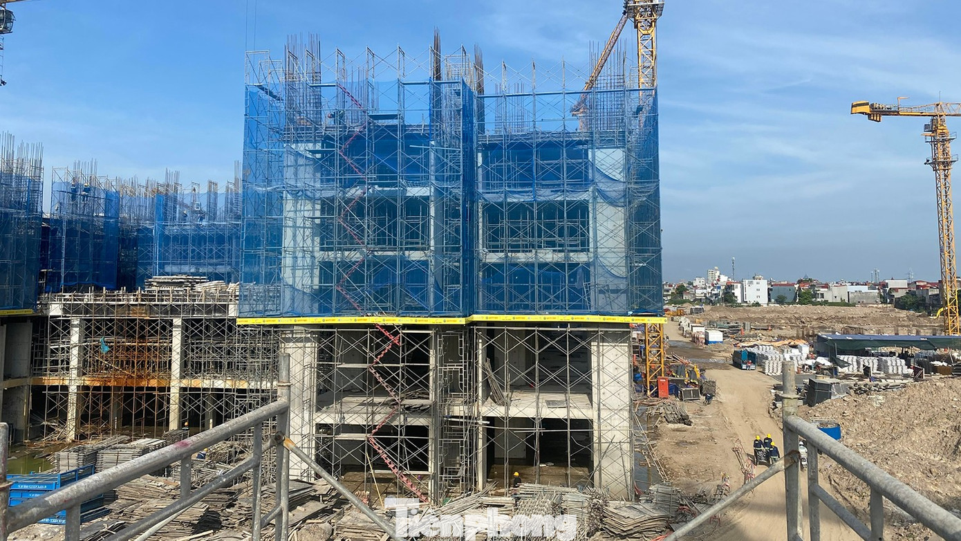 Phát hiện loạt hồ sơ mua NƠXH không đúng đối tượng - Ảnh 4