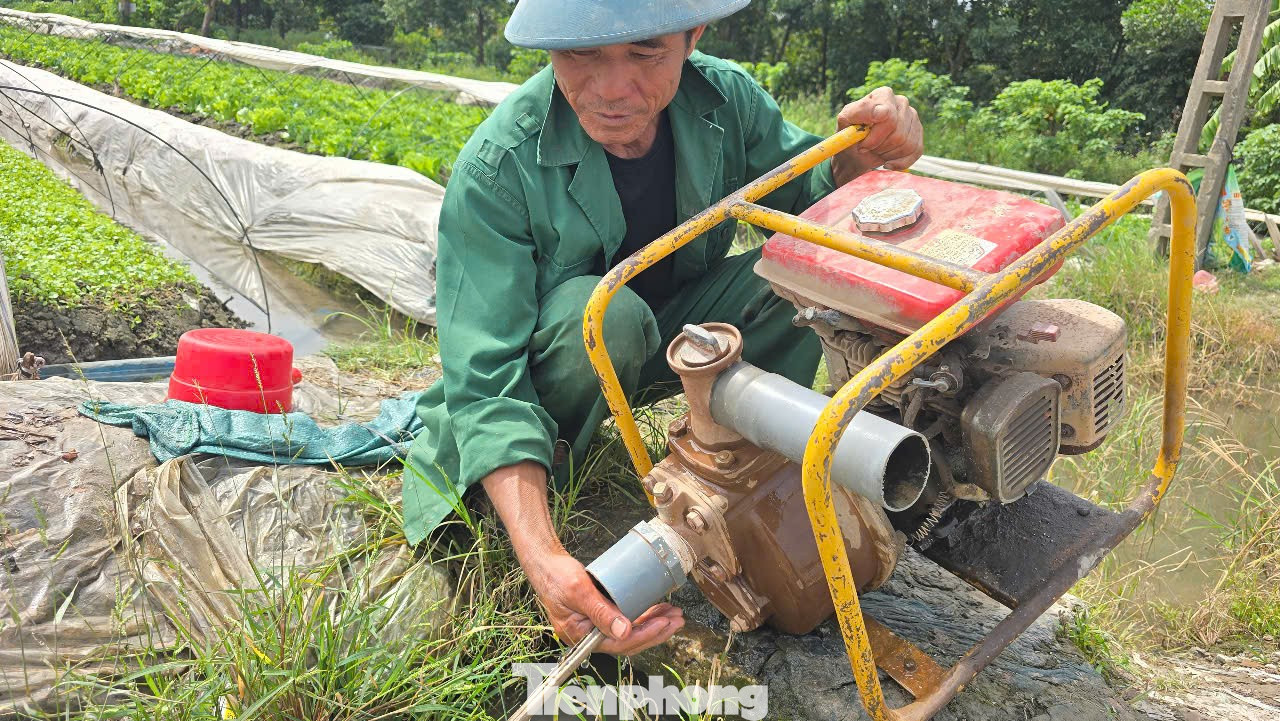 Lo khó giải phóng mặt bằng vì giá đất nông nghiệp dự kiến cao nhất 290.000 đồng/m2 - Ảnh 3