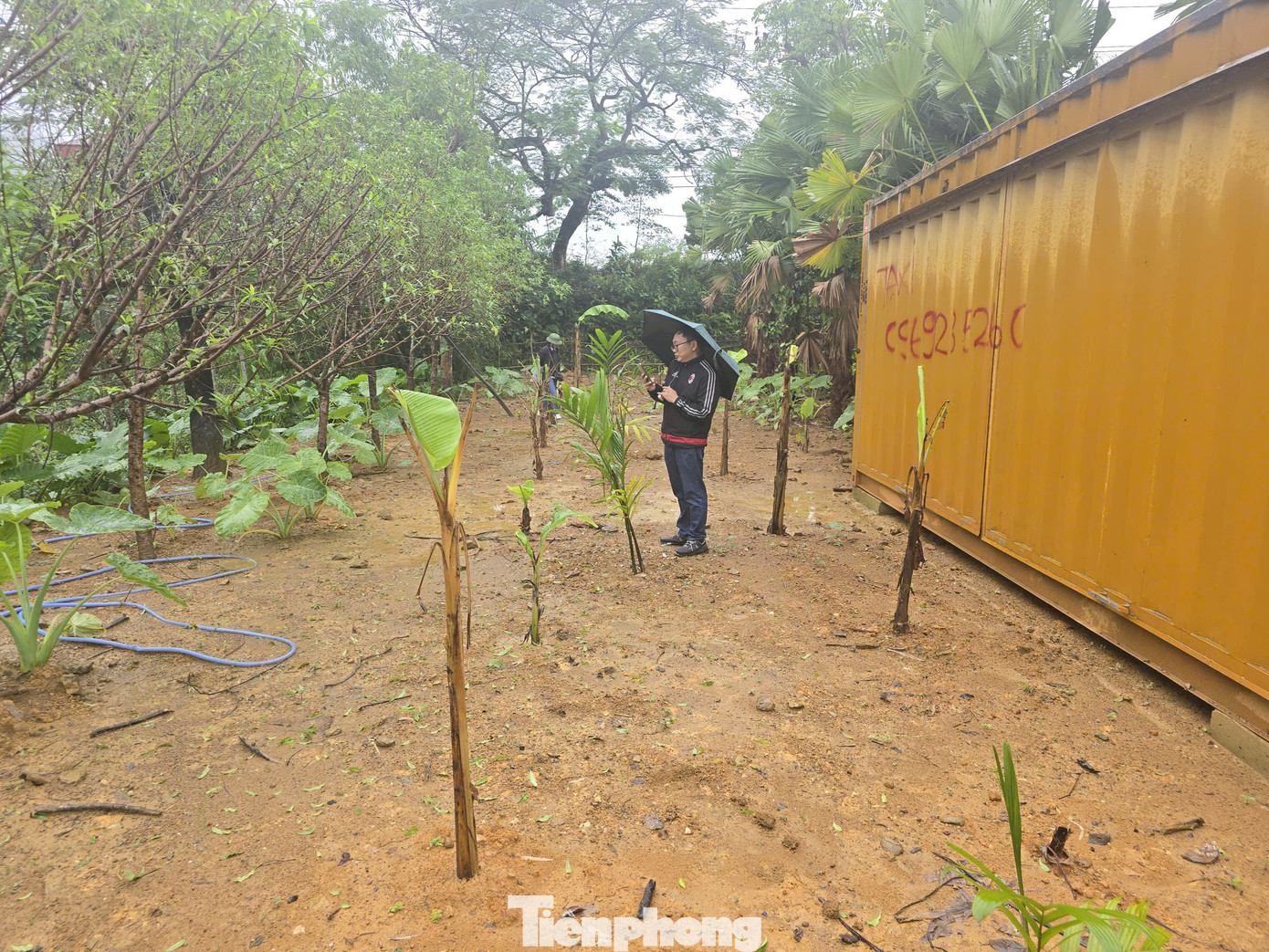 Lấn chiếm hồ Hà Nội: Các xã, phường chưa thực hiện chỉ đạo xử lý vi phạm - Ảnh 1