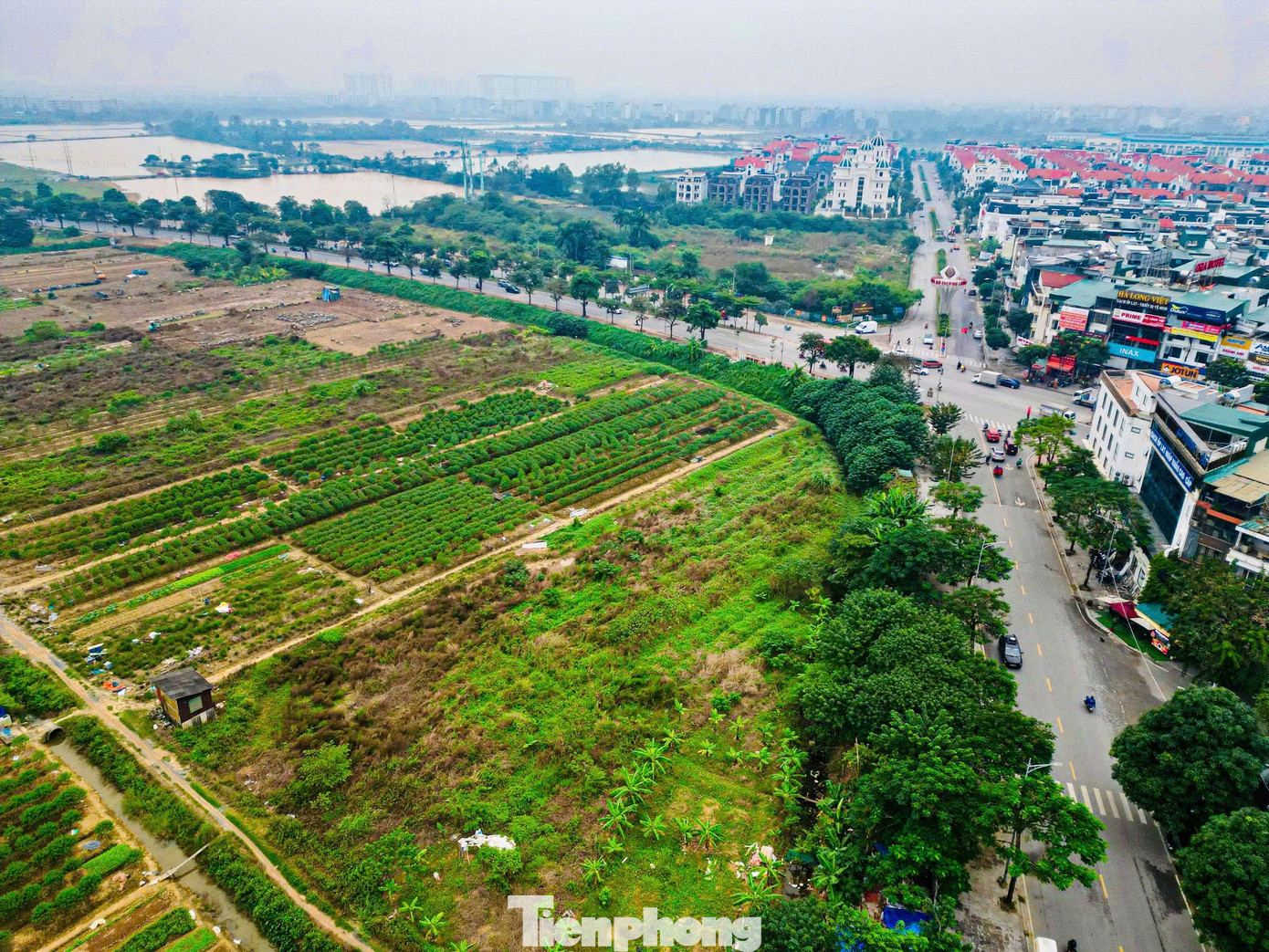 Hiện trạng khu đất làm công viên, quảng trường nhạc nước gần 100ha ở Hà Nội - Ảnh 11