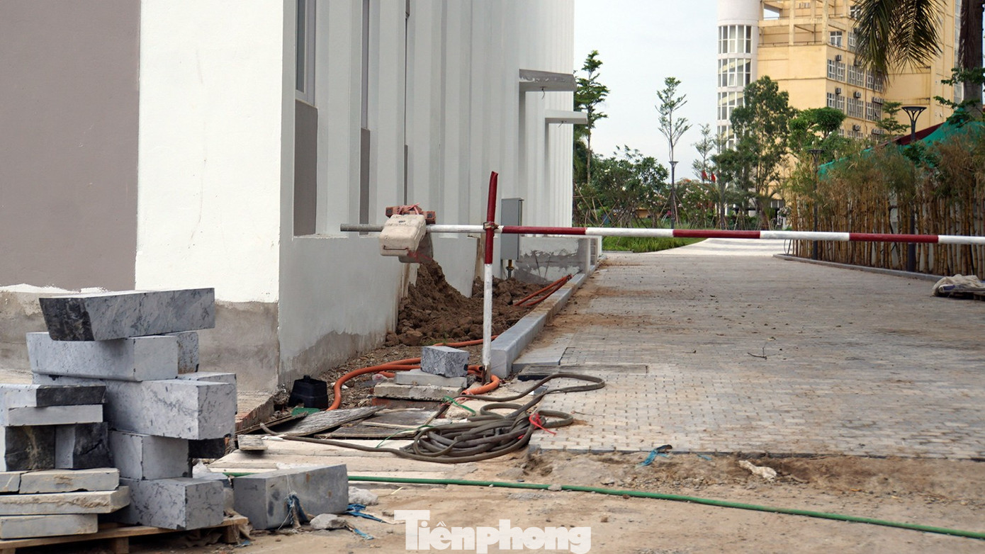 Hải Phòng thu hồi hơn 2,5ha đất vàng thuộc dự án khách sạn quốc tế Đồ Sơn - Ảnh 4