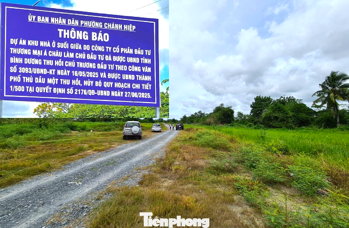 Điểm mặt những dự án nhà ở nằm bất động trên 'đất vàng' nhiều năm ở TPHCM - Ảnh 4
