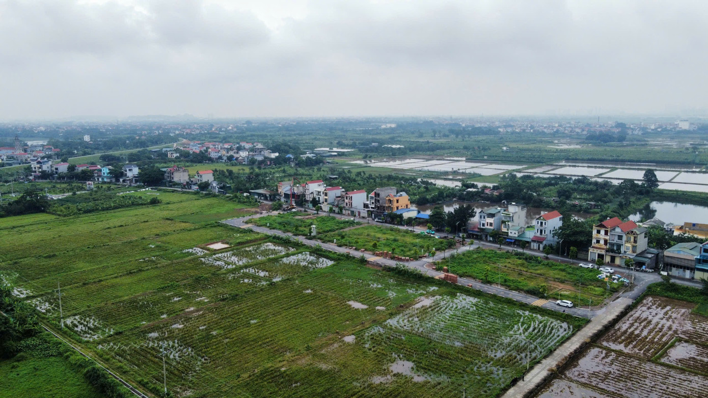 Kéo dài miễn thuế sử dụng đất nông nghiệp thêm 5 năm - Ảnh 1