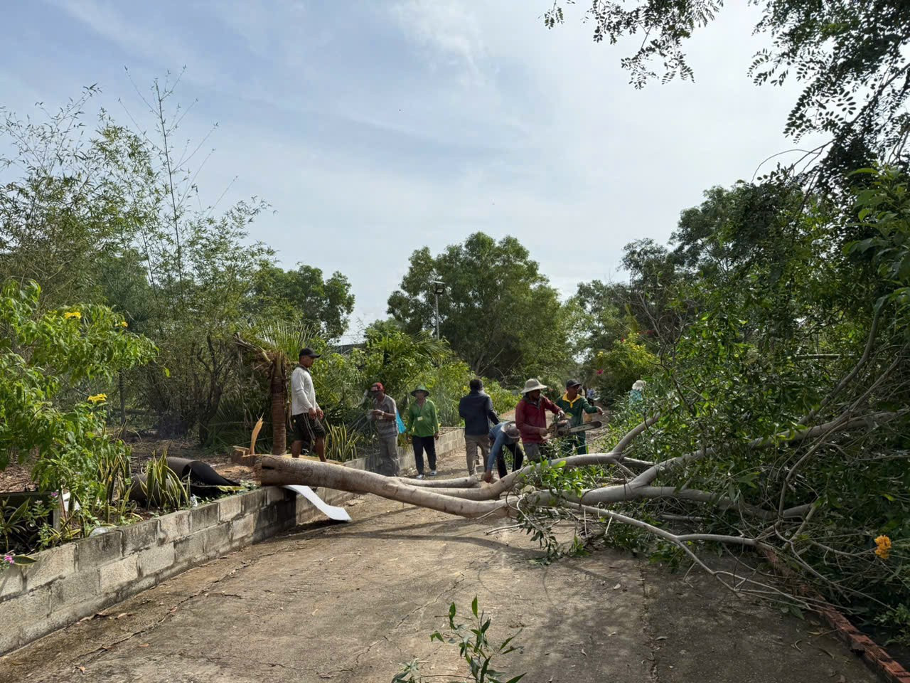 Cưỡng chế resort rộng 6,6ha, xây trái phép ở danh thắng Đồi cát bay Mũi Né - Ảnh 3