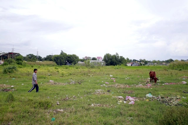 54 dự án được thí điểm làm dự án nhà ở thương mại - Ảnh 1