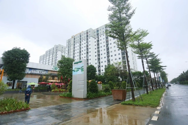 Quá nhiều hồ sơ, nhà ở xã hội phải tổ chức bốc thăm - Ảnh 3