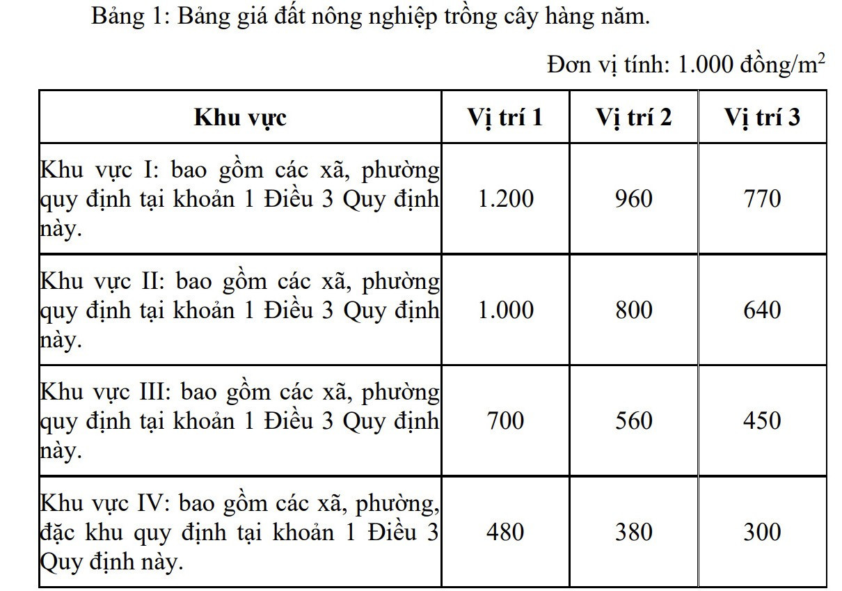 Diễn biến về bảng giá đất mới của TPHCM trước ngày thông qua - Ảnh 2