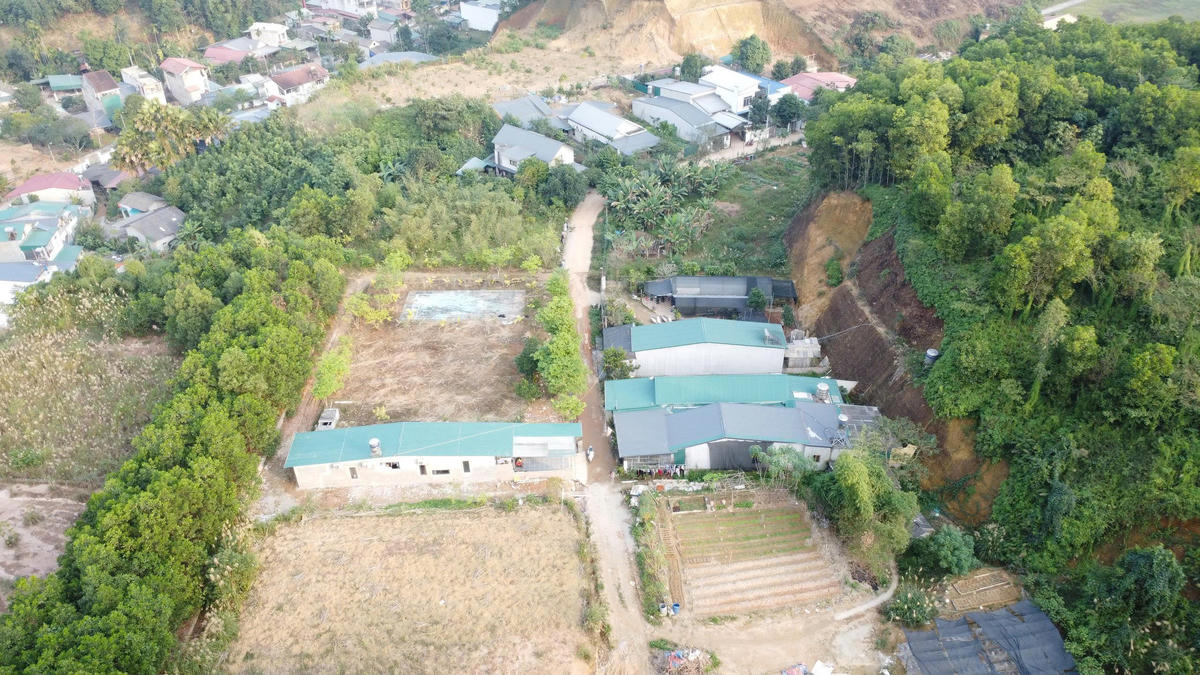 Lào Cai: Đất rừng Văn Phú bị phân lô có hợp pháp ? - Ảnh 1